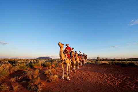 Uluru Small-Group Tour By Camel At Sunrise Or Sunset - Brisbane Tourism 3