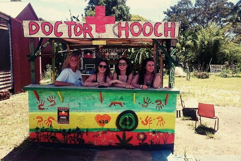 Byron Surrounds: Nimbin Waterfall Adventure - Swimming Tour - Tourism Brisbane 5
