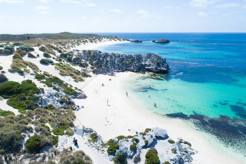 Discover Rottnest With Ferry & Bus Tour From Perth Or Fremantle - Tourism Brisbane 5