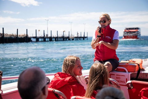 Adventure Rottnest Tour With Ferry & Adventure Cruise From Perth Or Fremantle - Tourism Brisbane 4