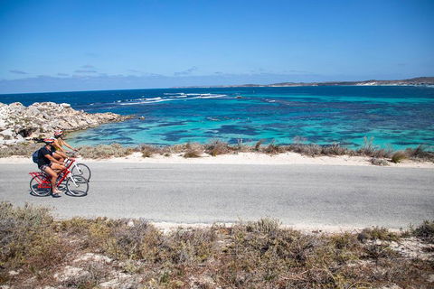 Experience Rottnest With Ferry & Bike Hire From Perth Or Fremantle - Tourism Brisbane 2