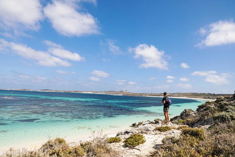 Experience Rottnest With Ferry & Bike Hire From Perth Or Fremantle - Tourism Brisbane 3