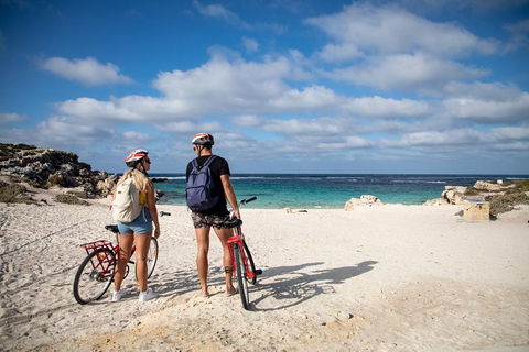 Experience Rottnest With Ferry & Bike Hire From Perth Or Fremantle - Tourism Brisbane 5
