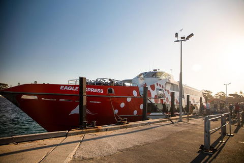 Rottnest Island Round-Trip Ferry From Perth Or Fremantle - Tourism Brisbane 2