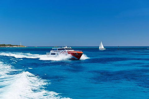 Rottnest Island Round-Trip Ferry From Perth Or Fremantle - Tourism Brisbane 4