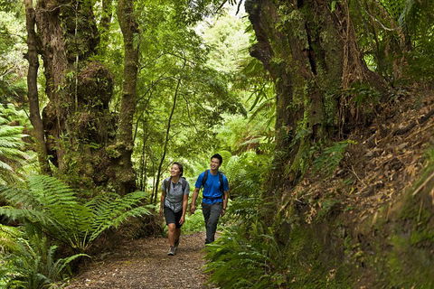 2-Day Great Ocean Road, Mornington Peninsula And Phillip Island Tour - Tourism Brisbane 5