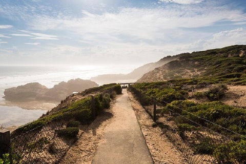 Melbourne Super Saver: Great Ocean Road + Mornington Peninsula + Attraction Pass - Tourism Brisbane 4
