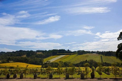 Melbourne Super Saver: Great Ocean Road + Mornington Peninsula + Attraction Pass - Tourism Brisbane 5