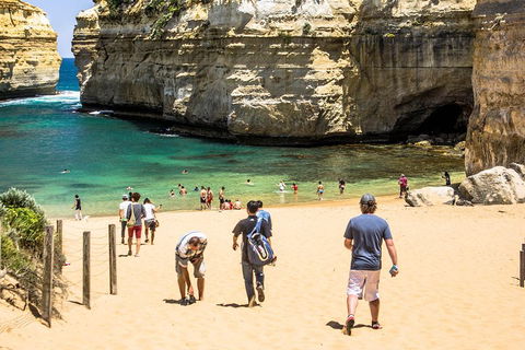 Small-Group Great Ocean Road Classic Day Tour From Melbourne - Tourism Brisbane 5