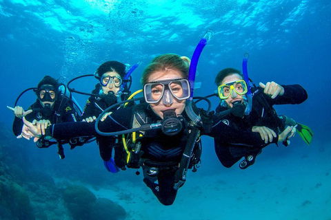 Great Barrier Reef Diving And Snorkeling Cruise From Cairns - Tourism Brisbane 0