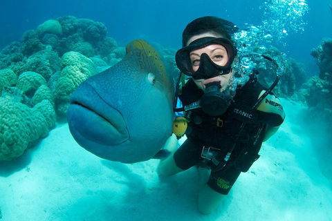 Great Barrier Reef Diving And Snorkeling Cruise From Cairns - Tourism Brisbane 2