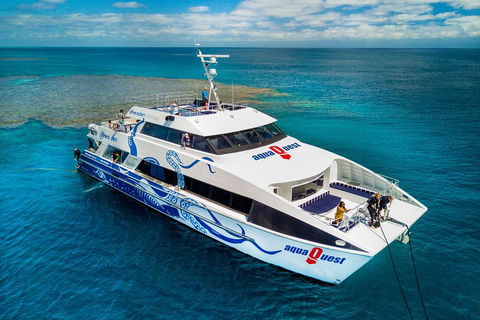 Great Barrier Reef Diving And Snorkeling Cruise From Cairns - Tourism Brisbane 5