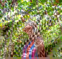 5 Day Australia Retreat Queensland Daintree - Tourism Brisbane
