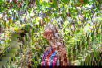 5 Day Australia Retreat Queensland Daintree, Cairns