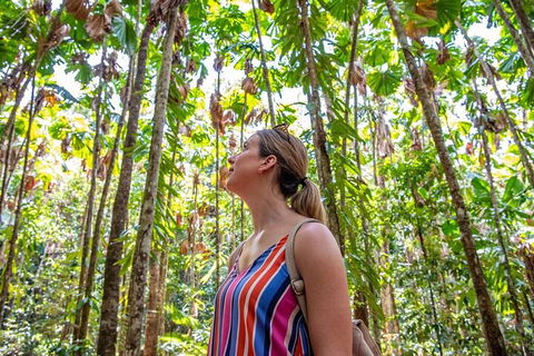 5 Day Australia Retreat: Queensland Daintree - Tourism Brisbane 0
