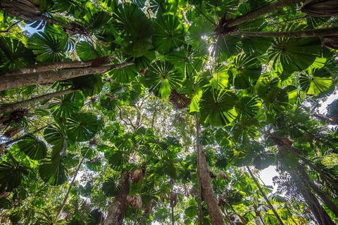 5 Day Australia Retreat: Queensland Daintree - Tourism Brisbane 2