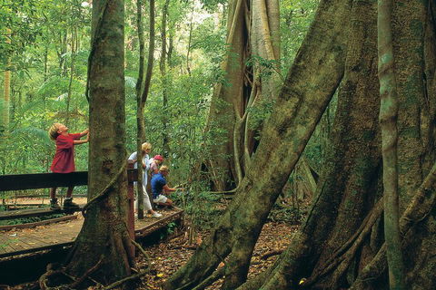 Full Day Small Group Luxury Tour To Tamborine Mountain - Tourism Brisbane 1