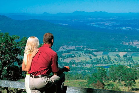 Full Day Small Group Luxury Tour To Tamborine Mountain - Tourism Brisbane 2