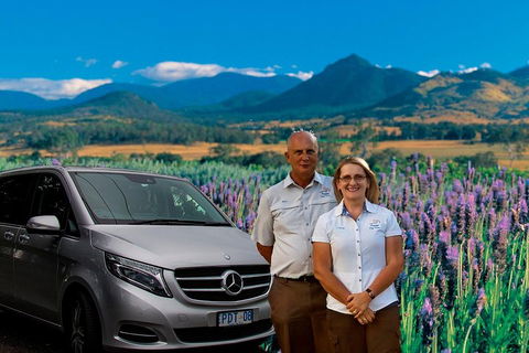 Full Day Small Group Luxury Tour To Tamborine Mountain - Tourism Brisbane 3