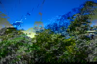 Classic Kuranda by Skyrail and Scenic Railway Including Rainforestation Koala and Wildlife Park and Pamagirri Aboriginal Experi, Cairns
