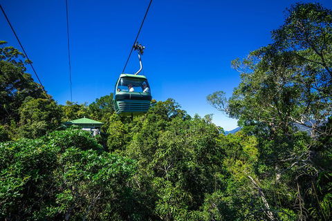 Classic Kuranda By Skyrail And Scenic Railway Including Rainforestation, Koala And Wildlife Park And Pamagirri Aboriginal Experi - Tourism Brisbane 0