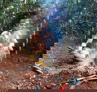 Kuranda Highlights including Rainforestation Aboriginal Culture and Wildlife - Tourism Brisbane