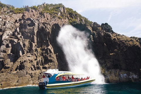 Full-Day Bruny Island Cruises Day Tour From Hobart - Tourism Brisbane 4