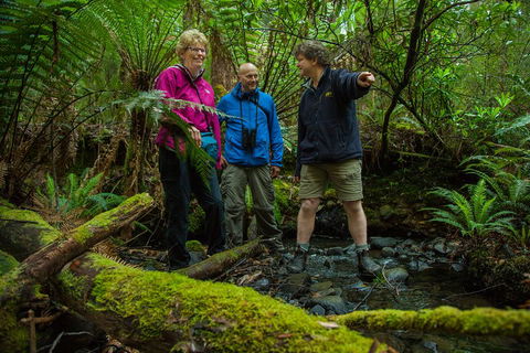 Bruny Island Traveller - Gourmet Tasting And Sightseeing Day Trip From Hobart - Tourism Brisbane 1