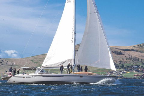 Half-Day Sailing On The Derwent River From Hobart - Brisbane 4u 1