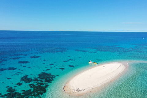Ocean Safari Great Barrier Reef Experience In Cape Tribulation - Tourism Brisbane 0
