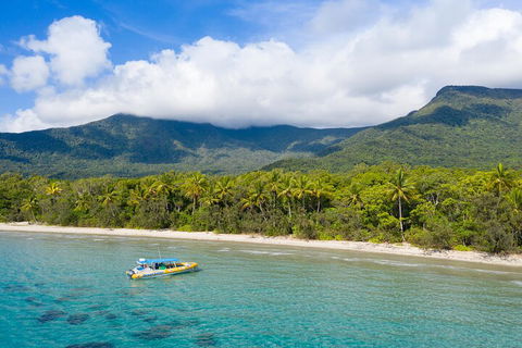 Ocean Safari Great Barrier Reef Experience In Cape Tribulation - Tourism Brisbane 2