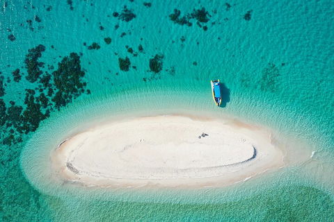 Ocean Safari Great Barrier Reef Experience In Cape Tribulation - Tourism Brisbane 3