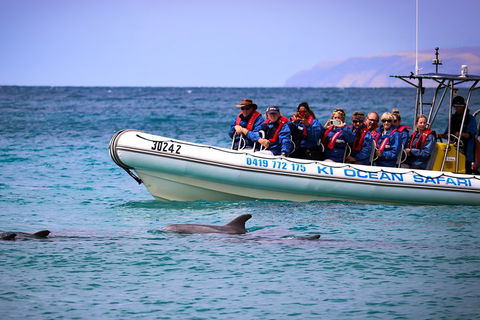 Kangaroo Island 75-Minute Ocean Safari - Tourism Brisbane 4
