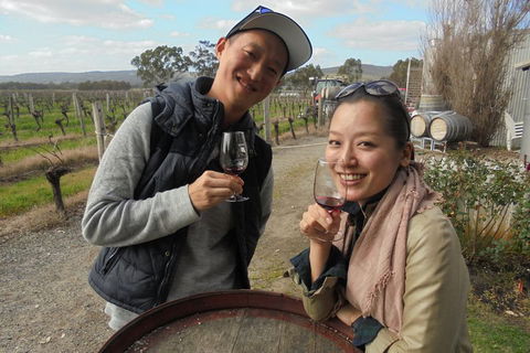 Swan Valley River Cruise And Wine Tasting Day Trip From Perth - Tourism Brisbane 0