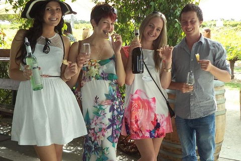 1/2 Day Swan Valley Wine Cheese & Chocolate Tour Inc Afternoon Cruise To Perth - Tourism Brisbane 4