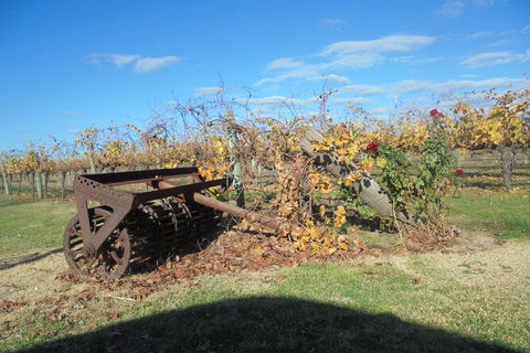 Swan Valley Tour From Perth: Wine, Beer And Chocolate Tastings - Tourism Brisbane 3