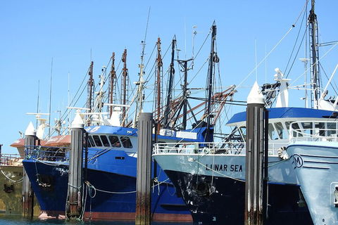 One Day Port Lincoln Tour - Tasting Eyre - Tourism Brisbane 0