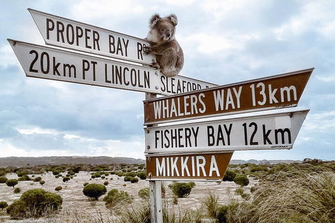 One Day Port Lincoln Tour - Tasting Eyre - Tourism Brisbane 2