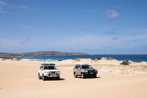 3 Day Port Lincoln And Coffin Bay Private Tour - Tourism Brisbane 0