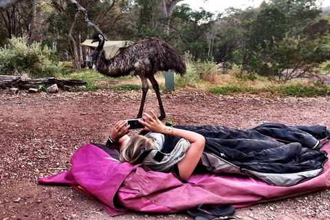 6 Day Esperance & Margaret River Adventure Tour - Tourism Brisbane 5