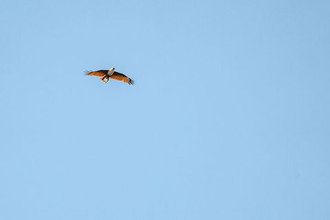 North Stradbroke Island Day Trip From Brisbane - Brisbane Tourism 4