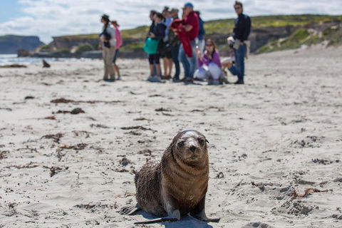 Kangaroo Island In A Day Tour From Adelaide - Tourism Brisbane 0