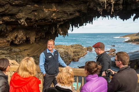 Kangaroo Island In A Day Tour From Adelaide - Tourism Brisbane 3