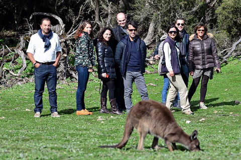 2-Day Kangaroo Island 4WD Small-Group Tour From Adelaide - Tourism Brisbane 1
