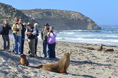 2-Day Kangaroo Island 4WD Small-Group Tour From Adelaide - Tourism Brisbane 3