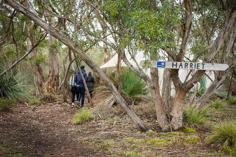 2-Day Kangaroo Island 4WD Small-Group Tour From Adelaide - Tourism Brisbane 5