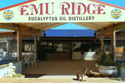 2 Day Ultimate Kangaroo Island With Return Ferry - Tourism Brisbane 3