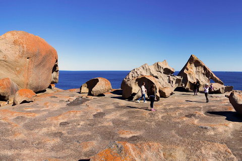 Full-Day Kangaroo Island Experience Departing From Kangaroo Island - Brisbane Tourism 4