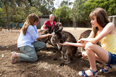 Full-Day Kangaroo Island Experience Departing From Kangaroo Island - Brisbane Tourism 5