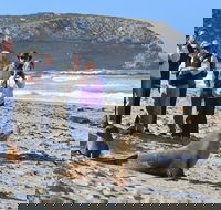 Full day Seal Bay Experience departing from Kangaroo Island - Tourism Brisbane